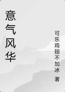 意氣風華 封面