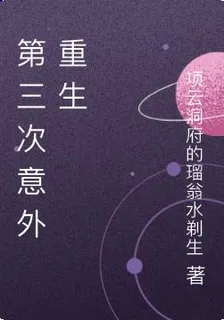 第三次意外重生 封面