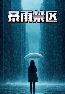 暴雨禁區 封面