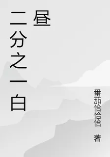 二分之一白晝 封面