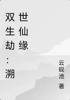 雙生劫：溯世仙緣 封面