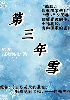 第三年雪 封面