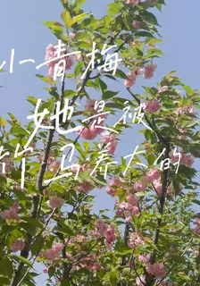 小青梅她是被竹馬養大的 封面