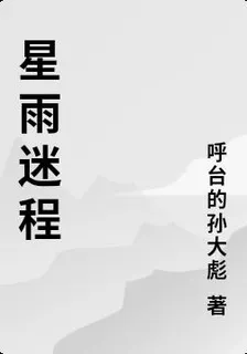 星雨迷程 封面