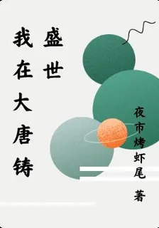 我在大唐鑄盛世 封面