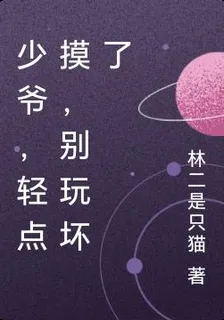 少爺，輕點摸，別玩壞了 封面