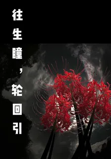 往生瞳，輪迴引 封面