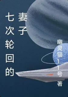 七次輪迴的妻子 封面