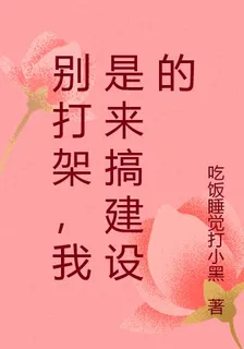 別打架，我是來搞建設的 封面