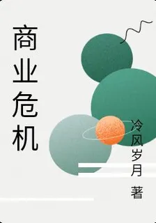 商業危機 封面