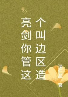 亮劍你管這個叫邊區造 封面