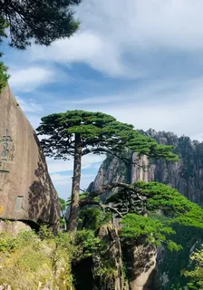 穿越年代，農村家庭奮鬥史 封面