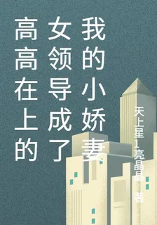 高高在上的女領導成了我的小嬌妻 封面