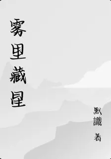 霧裏藏星 封面