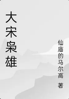 大宋梟雄 封面