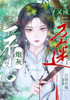 炮灰一不小心又成萬人迷了 封面
