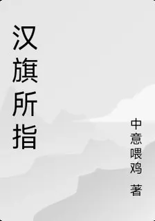 漢旗所指 封面