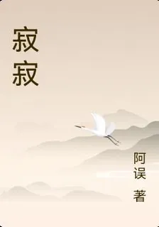 寂寂 封面