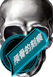 顱骨的刻痕 封面