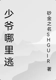 少爺哪裏逃 封面