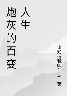炮灰的百變人生 封面