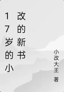 17歲的小改的新書 封面