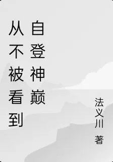 從不被看到自登神巔 封面
