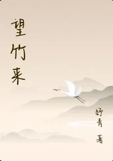 望竹來 封面