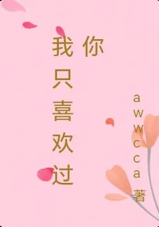 我只喜歡過你 封面