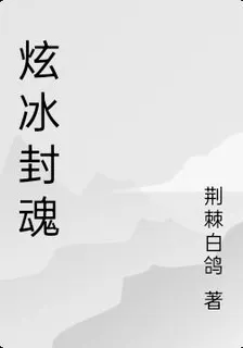 炫冰封魂 封面