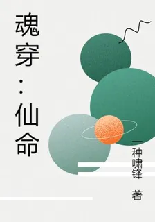 魂穿：仙命 封面