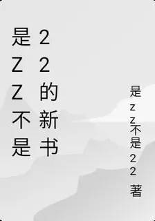 是zz不是22的新書 封面