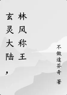 玄靈大陸，林風稱王 封面