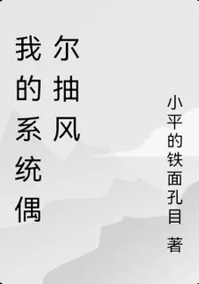 我的系統偶爾抽風 封面