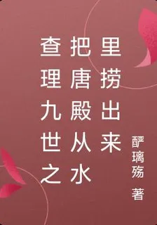 查理九世之把唐殿從水裏撈出來 封面