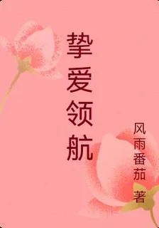 摯愛領航 封面