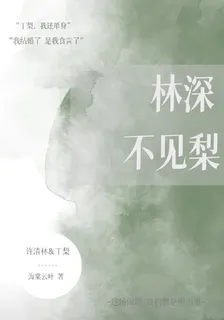 林深不見梨 封面