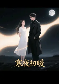 寒夜初暖 封面