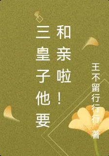 三皇子他要和親啦！ 封面