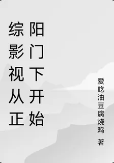 綜影視從正陽門下開始 封面
