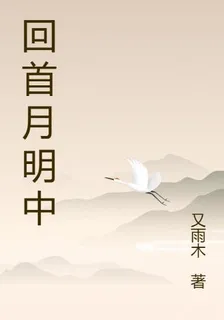回首月明中 封面