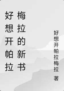 好想開帕拉梅拉的新書 封面