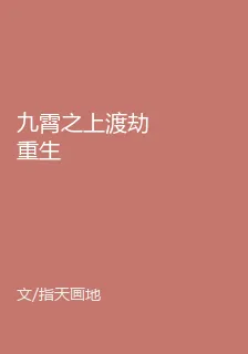 九霄之上渡劫重生 封面