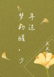 夢初醒，少年過 封面