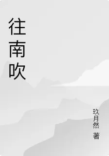 往南吹 封面