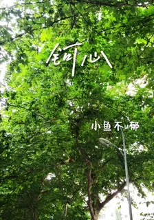 鈳心 封面
