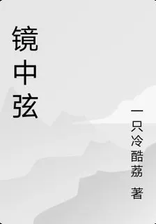 鏡中弦 封面