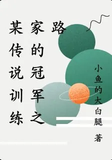 某傳說訓練家的冠軍之路 封面