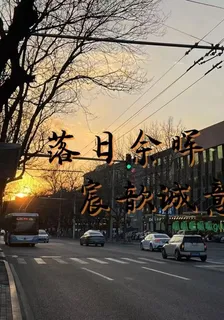 落日餘暉宸歆誠意 封面