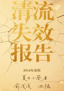 清流失效報告 封面